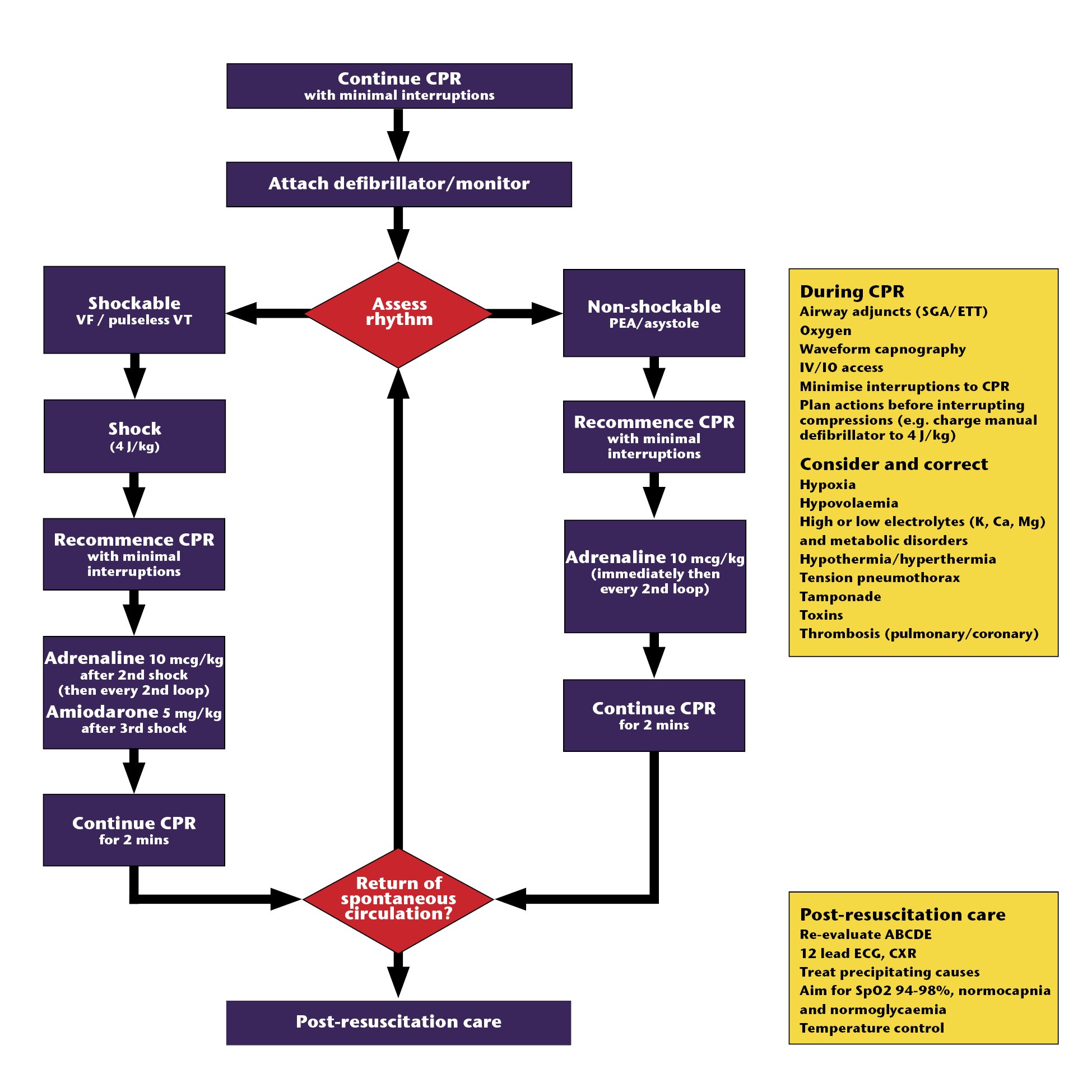 Paediatric advanced life support 7th Ed