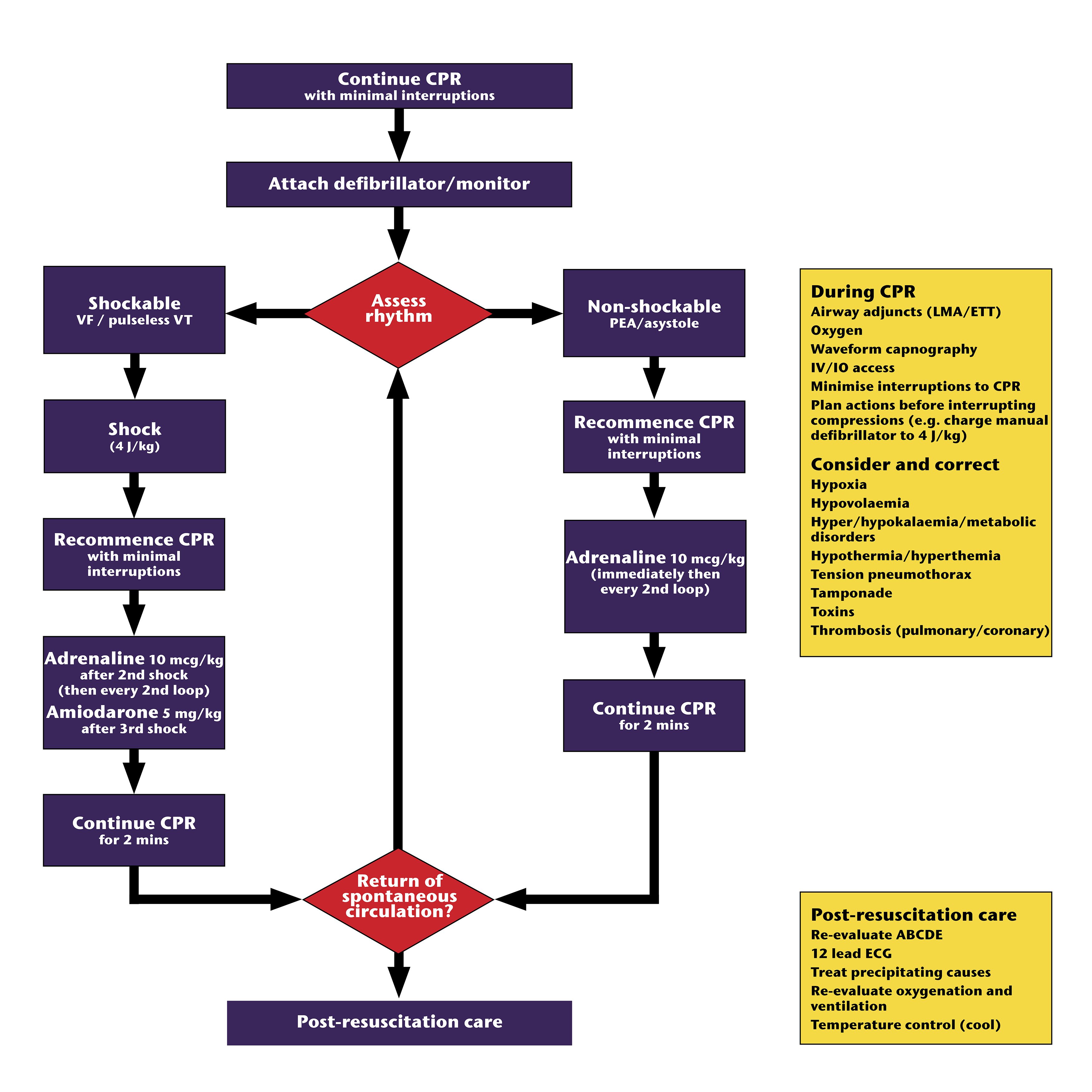 Paediatric advanced life support algorithm