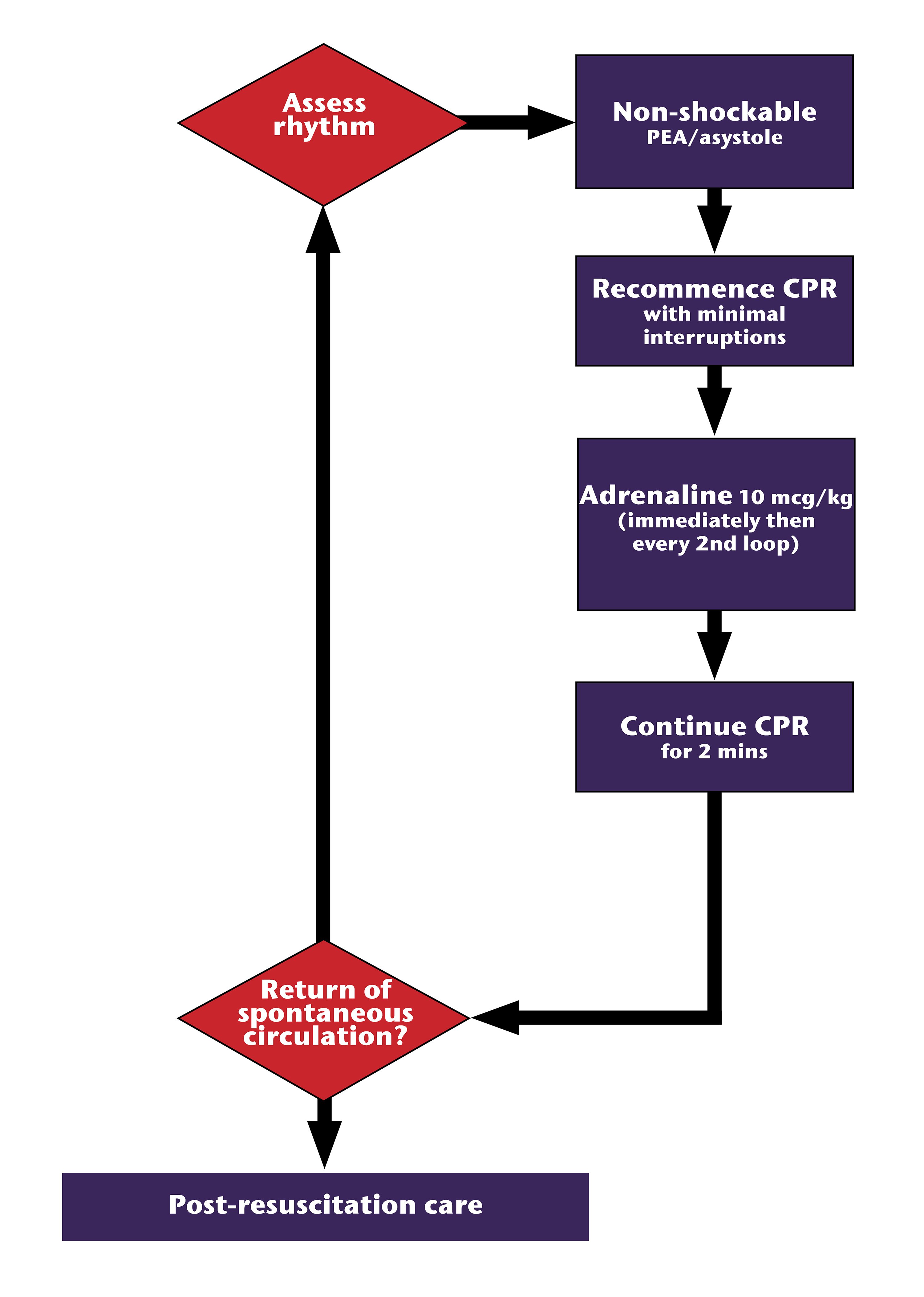 Figure 20.4 - Asystole & PEA management