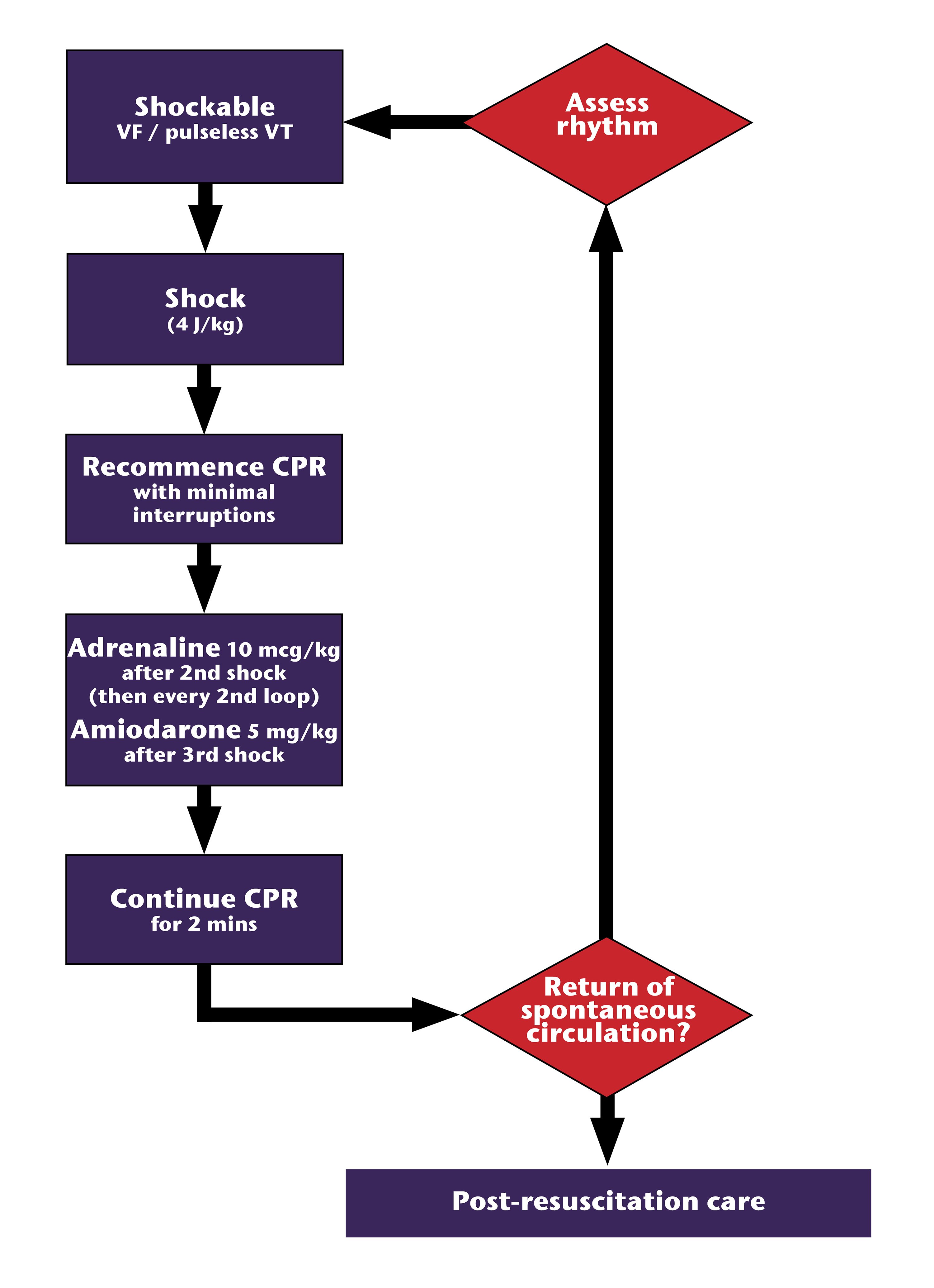 VF & pulseless VT management algorithm