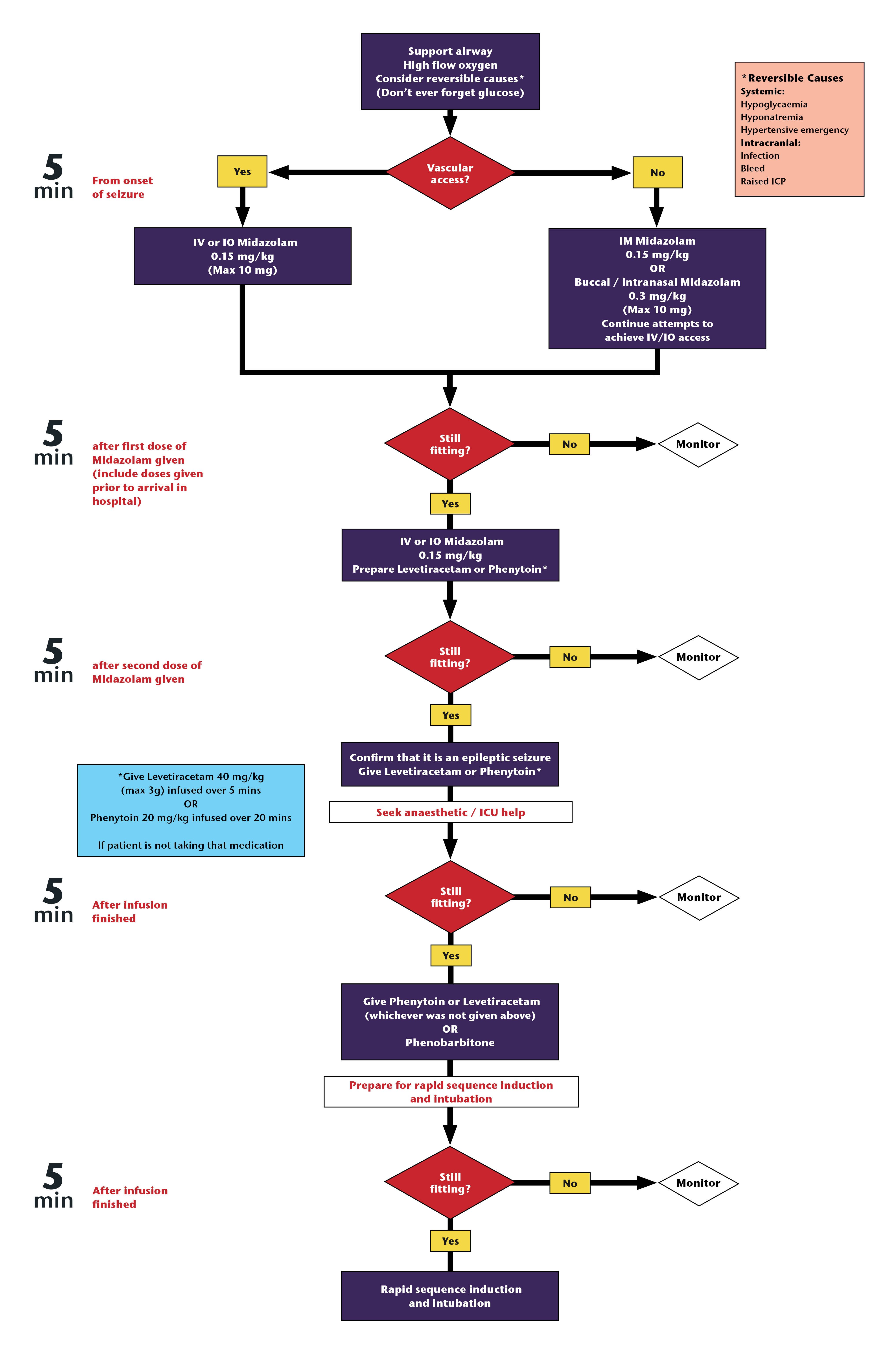 Status epilepticus management algorithm